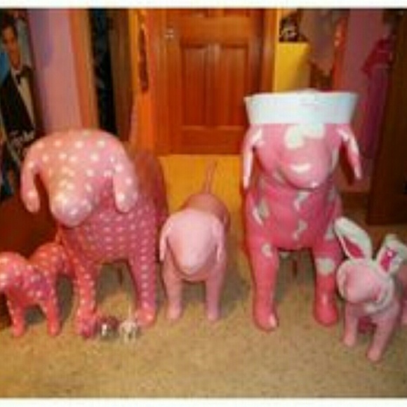 Meet your Posher, Desi 💕 - Picture 2 of 5